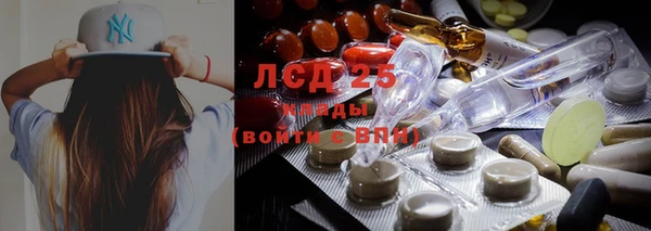 гидра Балахна