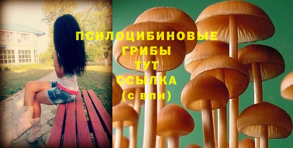 соль ск Аркадак