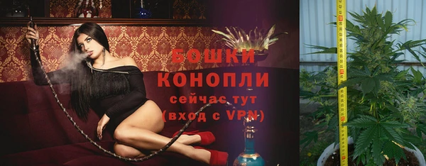 соль ск Аркадак